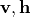 \mathbf{v}, \mathbf{h}